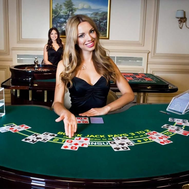 shp88 aplikasi tampilan live casino dan taruhan olahraga di smartphone